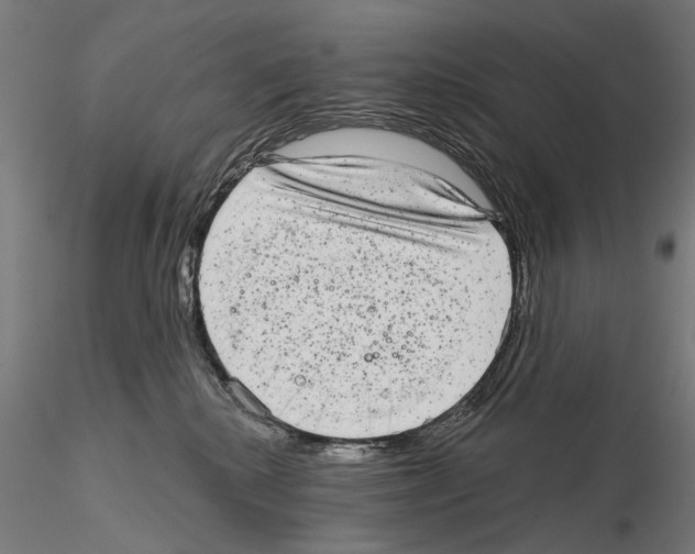 X0000114690280200912021052