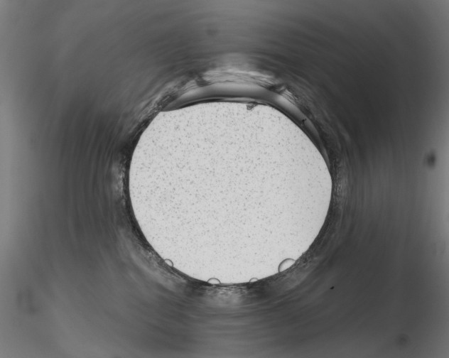 X0000114690282200912021052