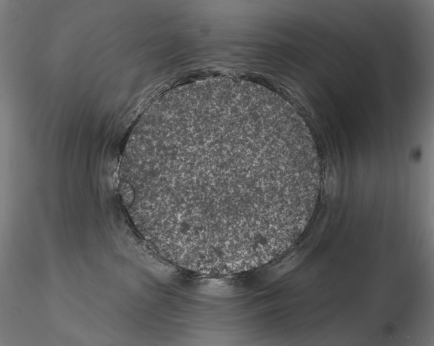 X0000114690285200912021052