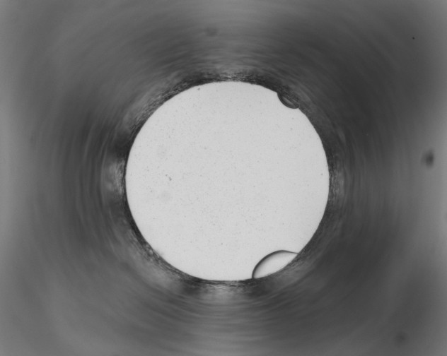 X0000114690286200912021052