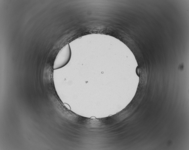 X0000114690287200912021052