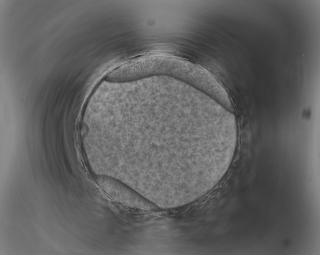 X0000114690289200912021052