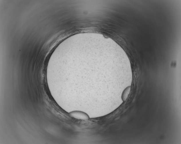 X0000114690290200912021051