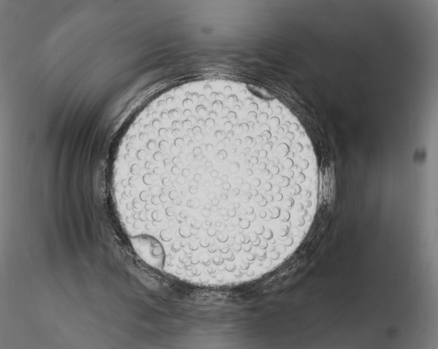 X0000114690291200912021051