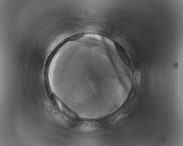 X0000114690292200912021051