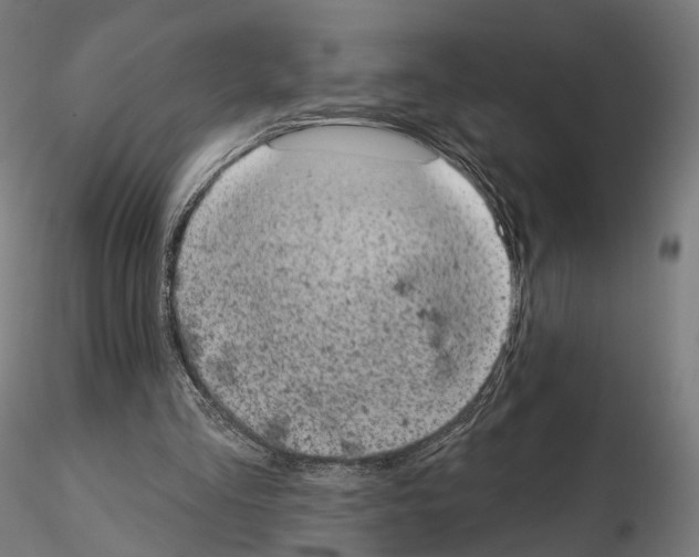 X0000114690293200912021051