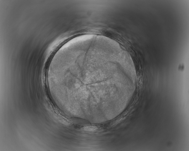 X0000114690294200912021051