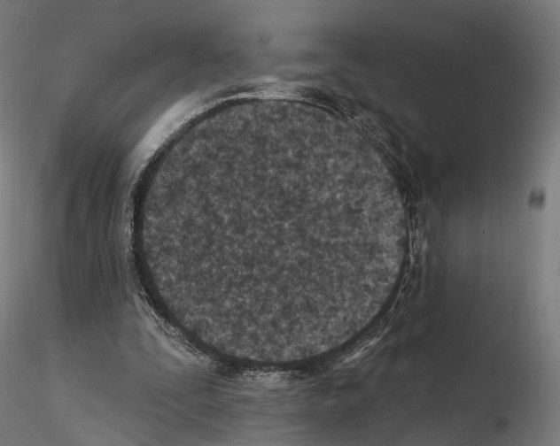 X0000114690295200912021051