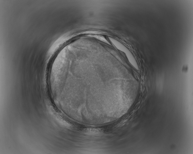 X0000114690296200912021051