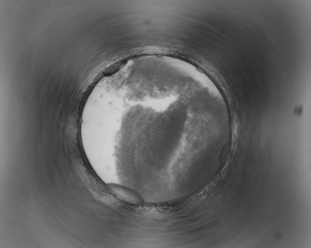 X0000114690297200912021051