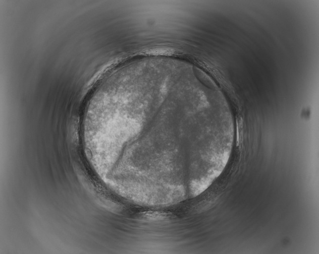 X0000114690300200912021051