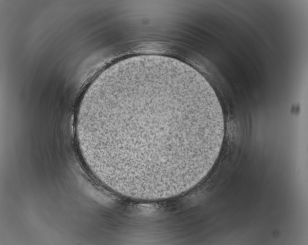 X0000114690302200912021051