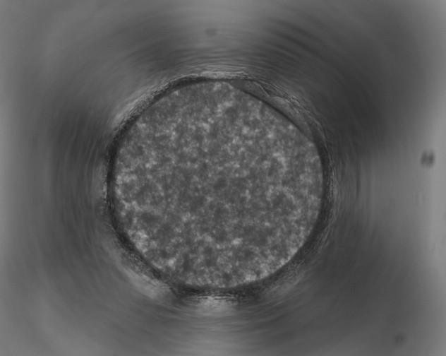 X0000114690303200912021051