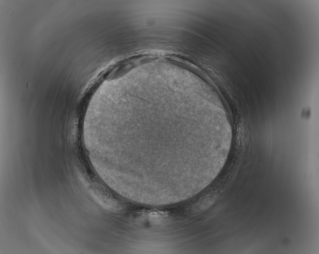 X0000114690304200912021051