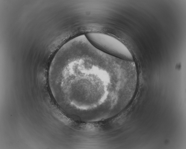 X0000114690305200912021051