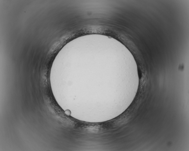X0000114690306200912021051