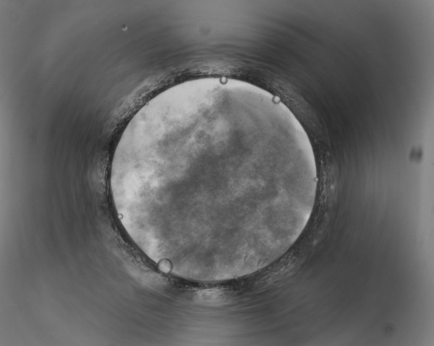 X0000114690309200912021051