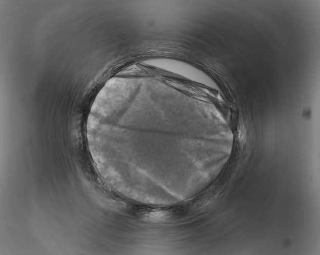 X0000114690312200912021051