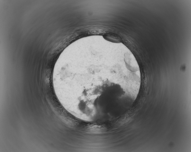 X0000114690315200912021051