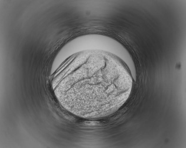 X0000114690316200912021051