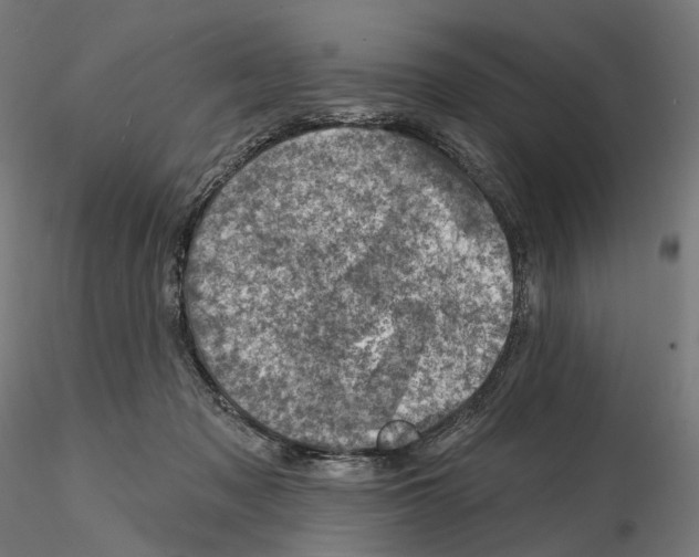 X0000114690317200912021051