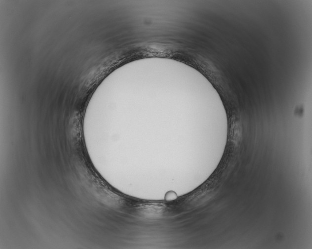 X0000114690318200912021051