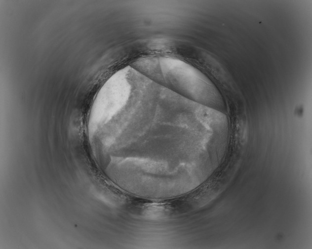 X0000114690320200912021051