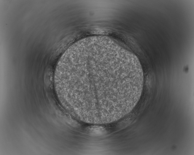 X0000114690322200912021051
