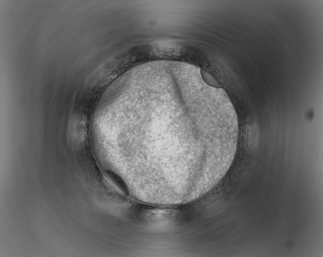 X0000114690323200912021051