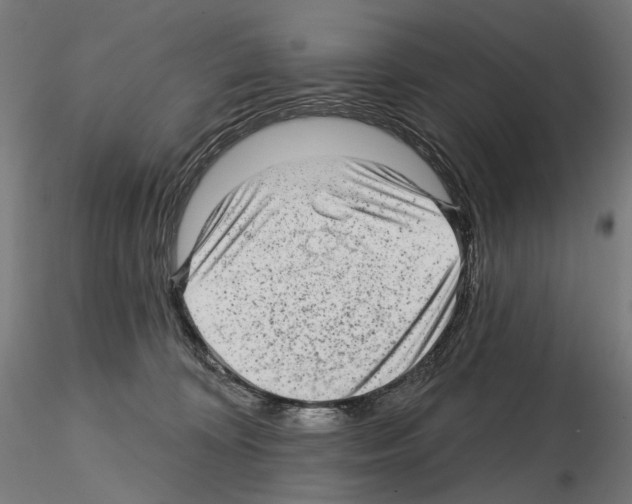 X0000114690324200912021051