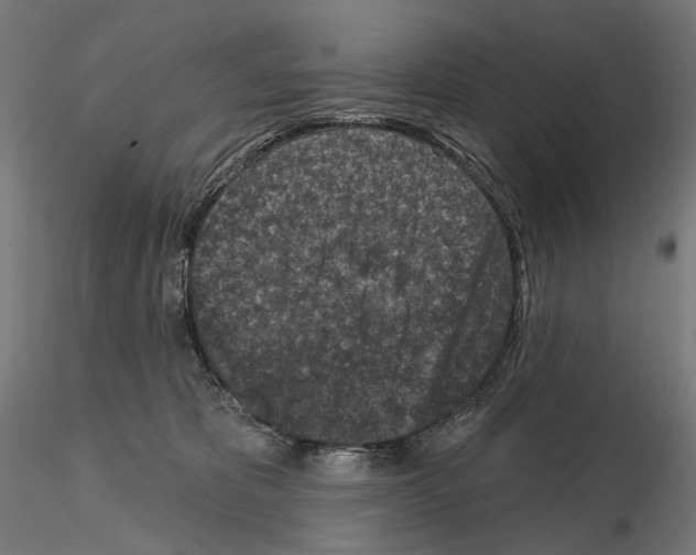 X0000114690325200912021051