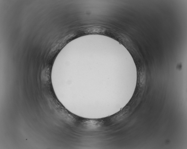 X0000114690326200912021051