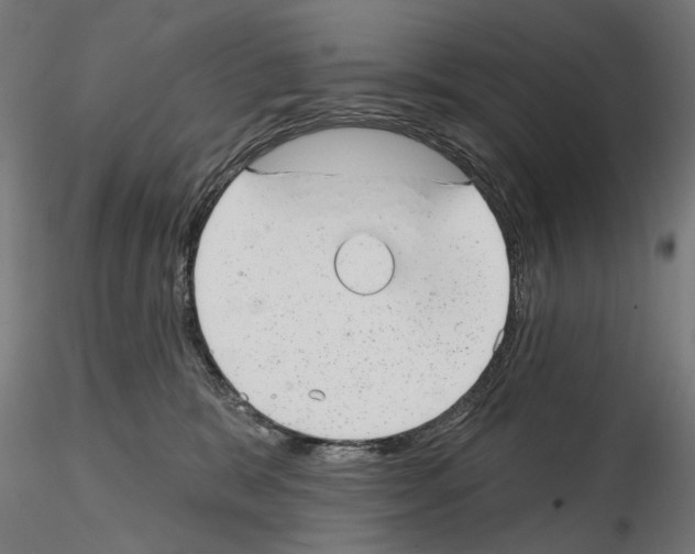 X0000114690327200912021051