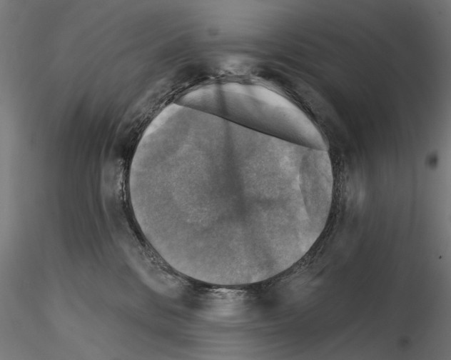 X0000114690328200912021051