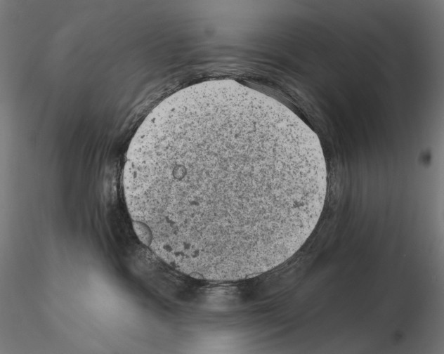 X0000114690333200912021051