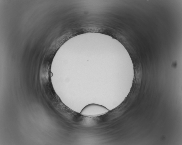 X0000114690334200912021051
