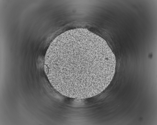 X0000114690335200912021051