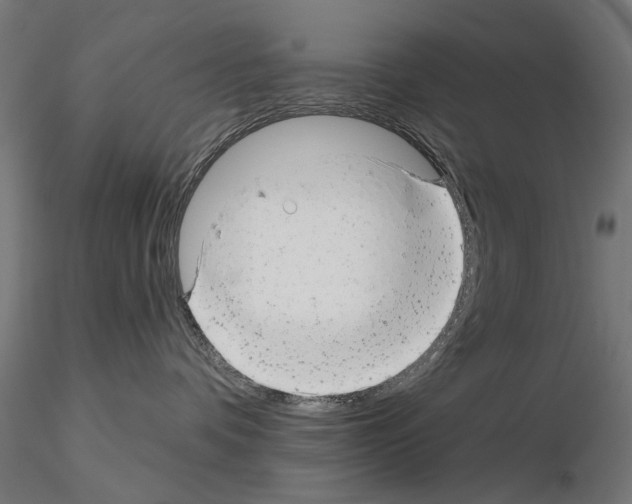 X0000114690336200912021051