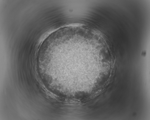 X0000114690337200912021050