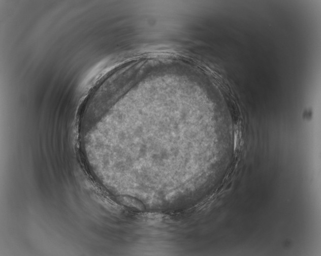 X0000114690339200912021050