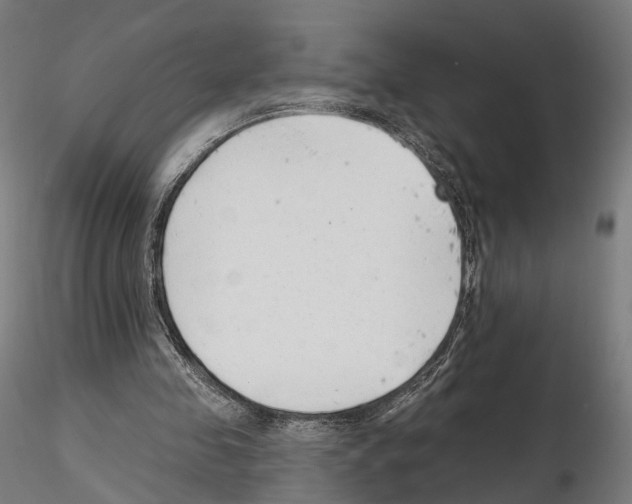 X0000114690341200912021050