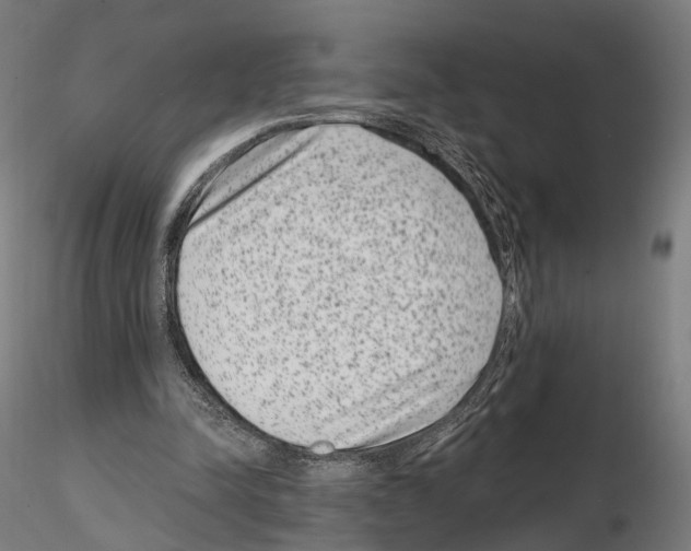 X0000114690342200912021050