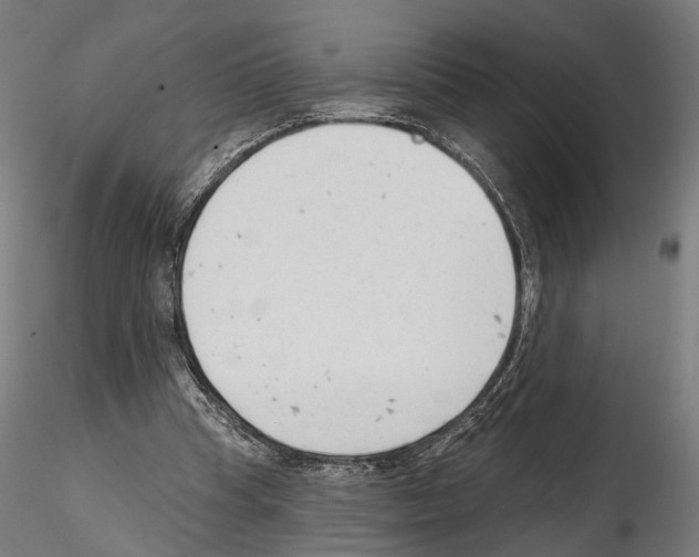 X0000114690345200912021050