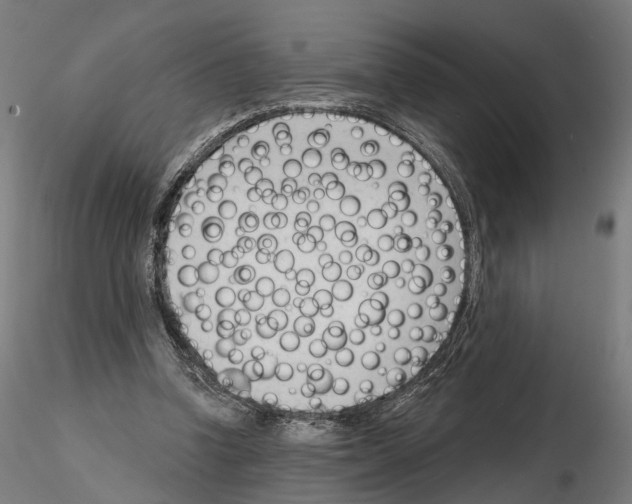 X0000114690346200912021050