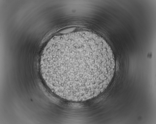 X0000114690349200912021050
