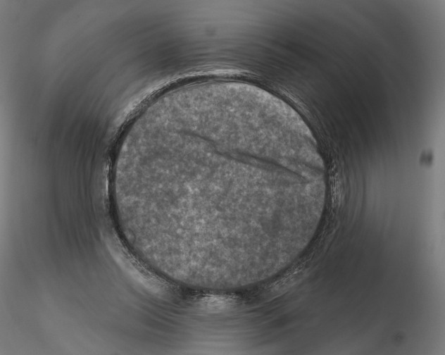 X0000114690350200912021050