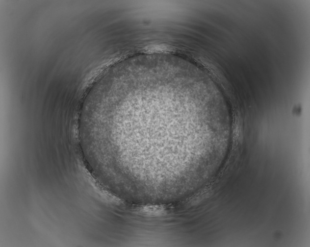 X0000114690353200912021050