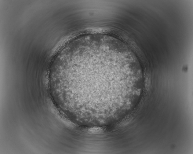 X0000114690357200912021050