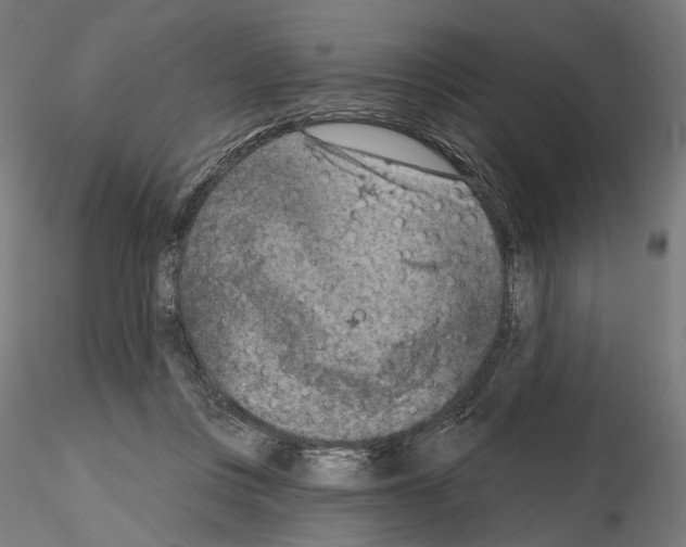 X0000114690359200912021051