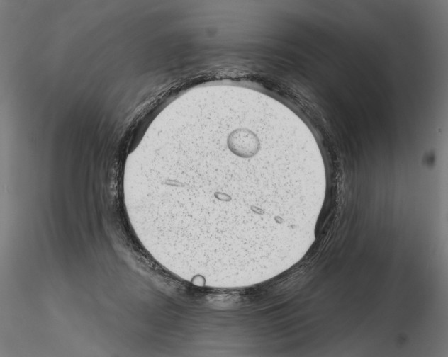 X0000114690362200912021051